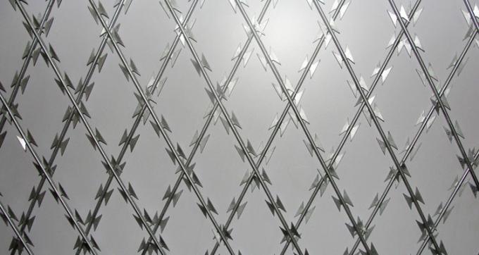 Elektro-Galvanized1.5mmx1.5mm Diamond Welded Razor Wire Mesh 0