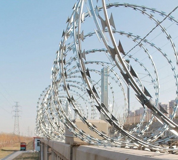 Elektro-Galvanized1.5mmx1.5mm Diamond Welded Razor Wire Mesh 3